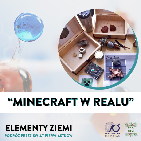 minecraft.jpg (mini)